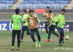 关于尼斯面对水原三星，主裁判判罚详解的信息