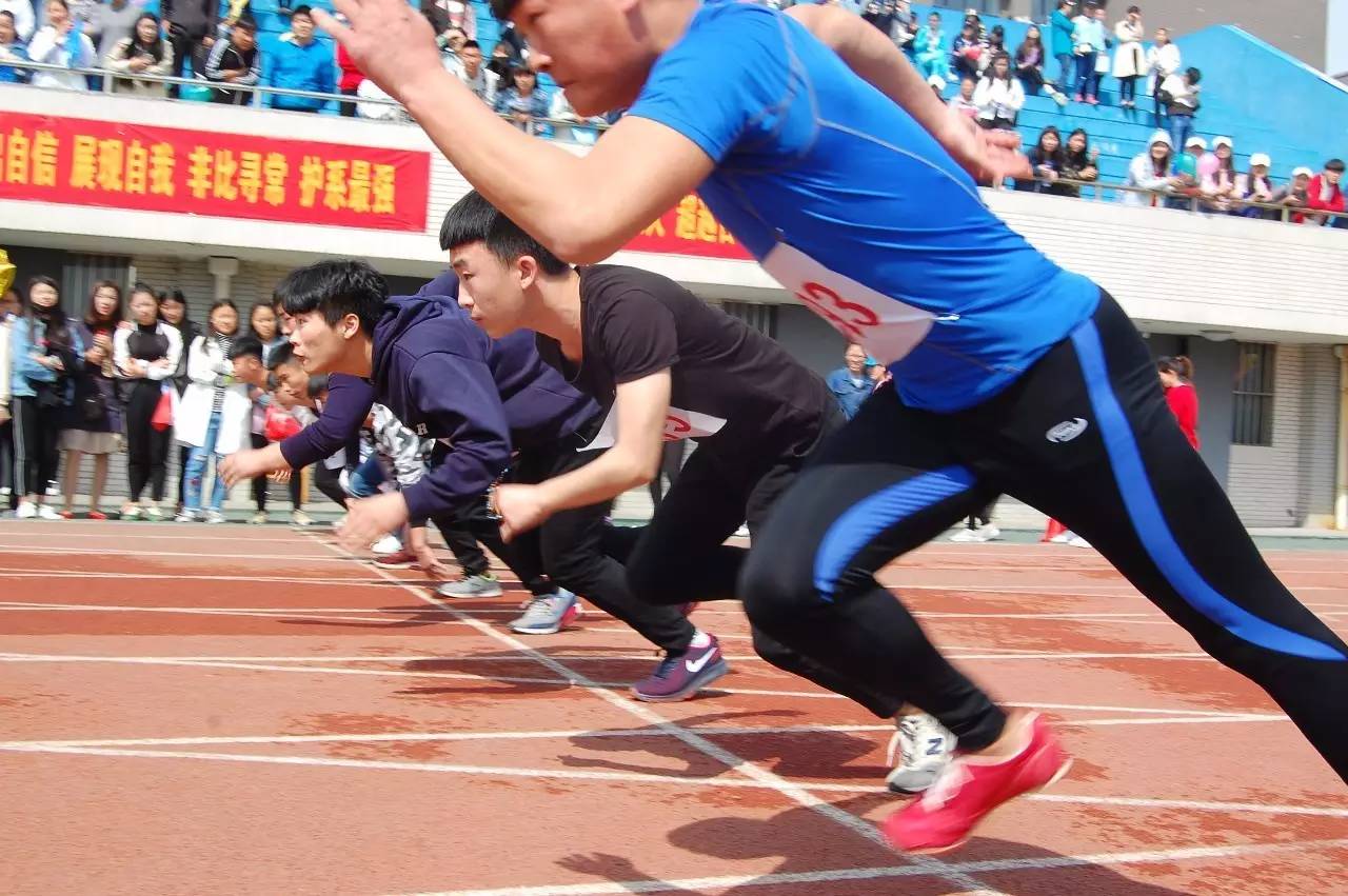 包含功夫不负有心人，运动员们背水一战奋勇拼搏的词条